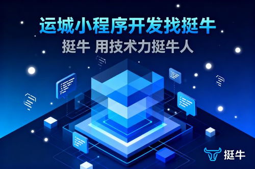 運城小程序開發與計算機系統集成價格解析